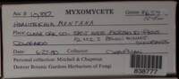 Image Associated With the Occurence